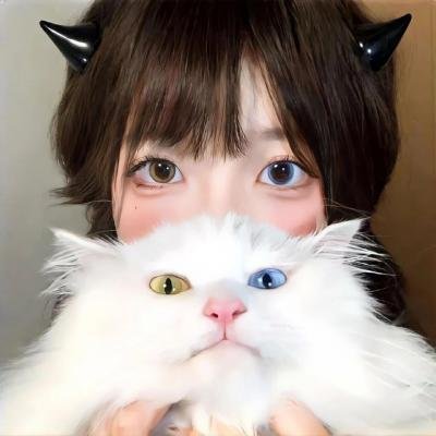 绝望主妇第一季